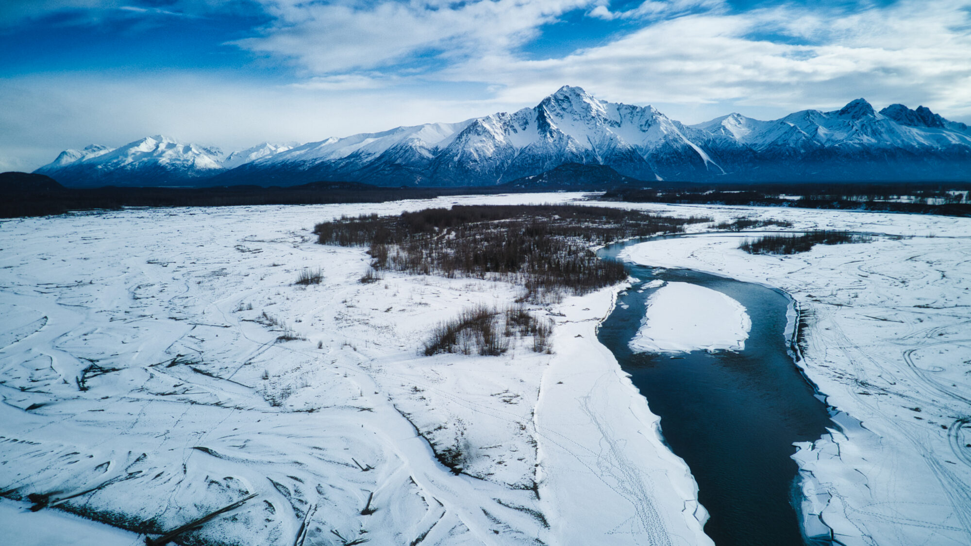 matanuska-march